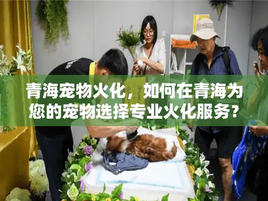 青海宠物火化，如何在青海为您的宠物选择专业火化服务？