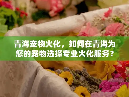 青海宠物火化，如何在青海为您的宠物选择专业火化服务？