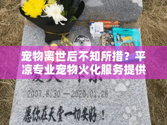 宠物离世后不知所措？平凉专业宠物火化服务提供暖心慰藉