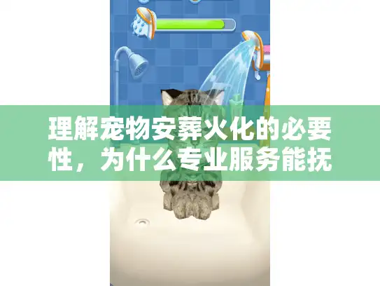 理解宠物安葬火化的必要性，为什么专业服务能抚慰你的心灵创伤？