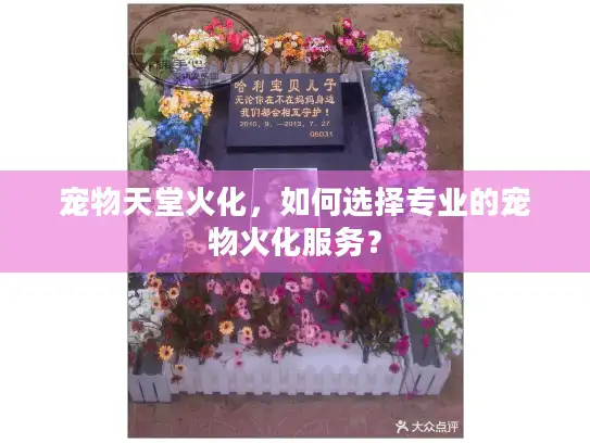 宠物天堂火化，如何选择专业的宠物火化服务？