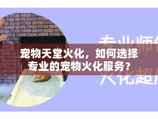 宠物天堂火化，如何选择专业的宠物火化服务？