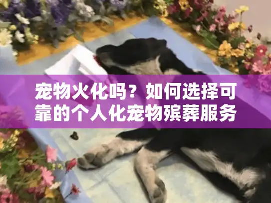 宠物火化吗？如何选择可靠的个人化宠物殡葬服务？