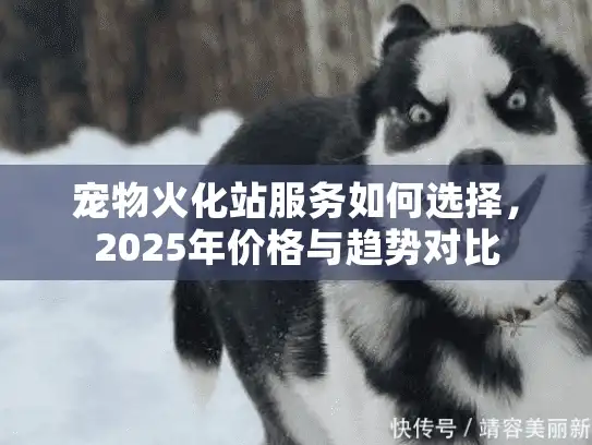 宠物火化站服务如何选择，2025年价格与趋势对比