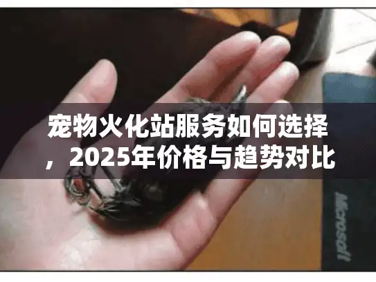 宠物火化站服务如何选择，2025年价格与趋势对比