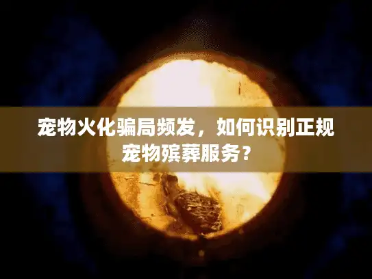 宠物火化骗局频发，如何识别正规宠物殡葬服务？
