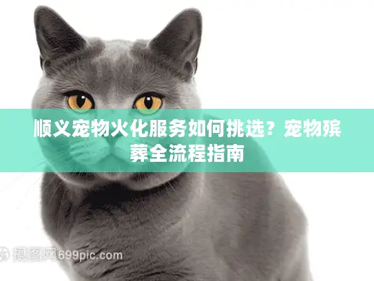 顺义宠物火化服务如何挑选？宠物殡葬全流程指南