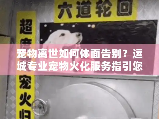 宠物离世如何体面告别？运城专业宠物火化服务指引您安心前行