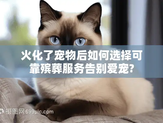 火化了宠物后如何选择可靠殡葬服务告别爱宠?