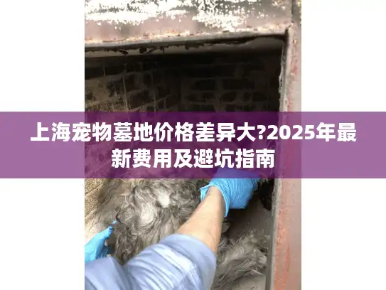 上海宠物墓地价格差异大?2025年最新费用及避坑指南