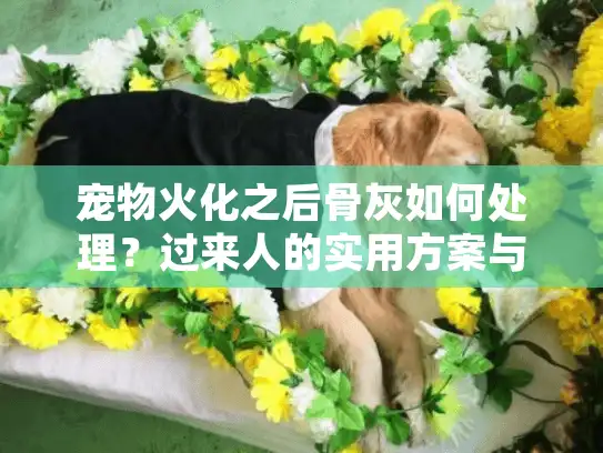 宠物火化之后骨灰如何处理？过来人的实用方案与避坑指南