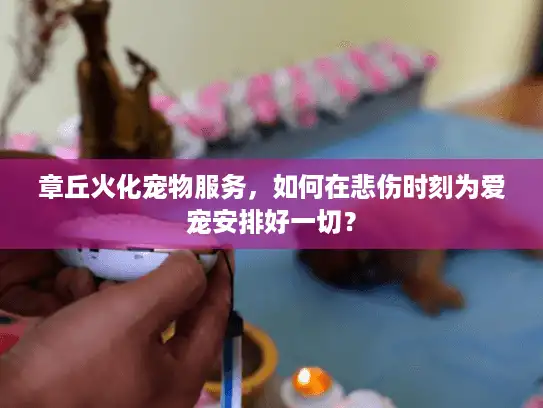章丘火化宠物服务，如何在悲伤时刻为爱宠安排好一切？