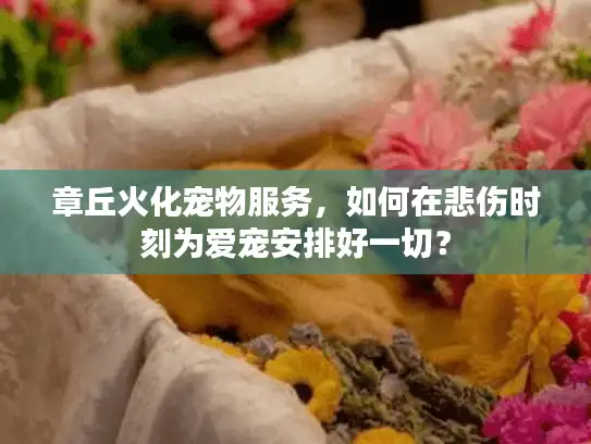 章丘火化宠物服务，如何在悲伤时刻为爱宠安排好一切？