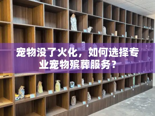 宠物没了火化，如何选择专业宠物殡葬服务？