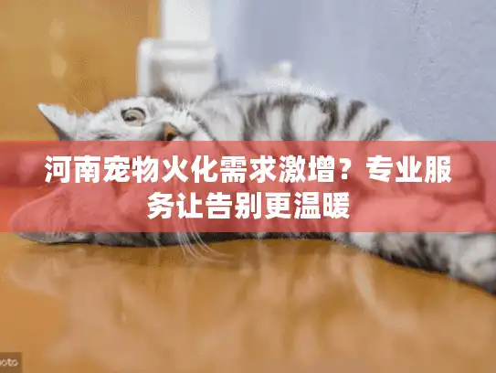 河南宠物火化需求激增？专业服务让告别更温暖