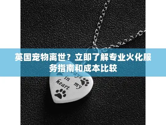 英国宠物离世？立即了解专业火化服务指南和成本比较