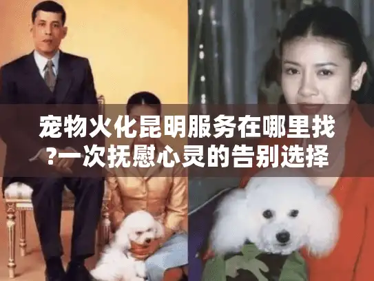 宠物火化昆明服务在哪里找?一次抚慰心灵的告别选择