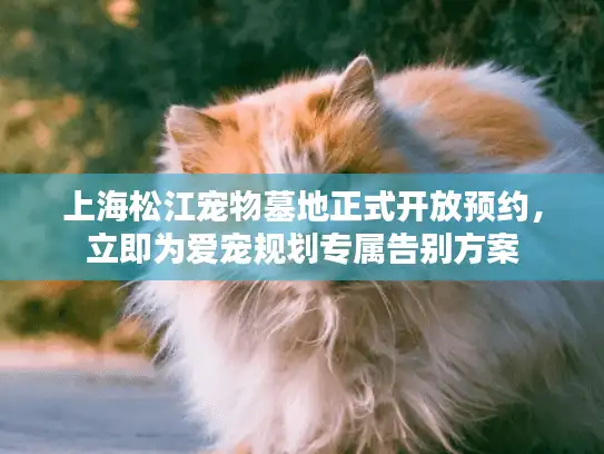 上海松江宠物墓地正式开放预约，立即为爱宠规划专属告别方案
