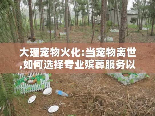 大理宠物火化:当宠物离世,如何选择专业殡葬服务以减轻悲痛?