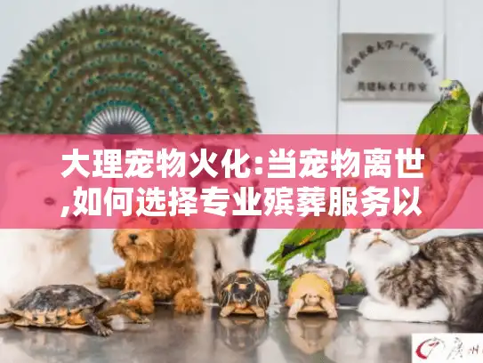 大理宠物火化:当宠物离世,如何选择专业殡葬服务以减轻悲痛?
