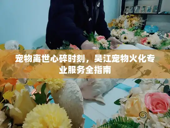 宠物离世心碎时刻，吴江宠物火化专业服务全指南