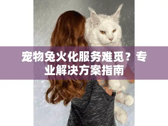 宠物兔火化服务难觅？专业解决方案指南