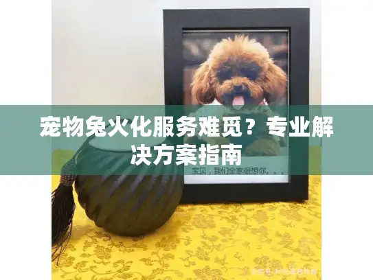 宠物兔火化服务难觅？专业解决方案指南