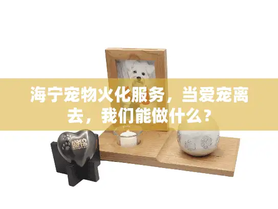 海宁宠物火化服务，当爱宠离去，我们能做什么？