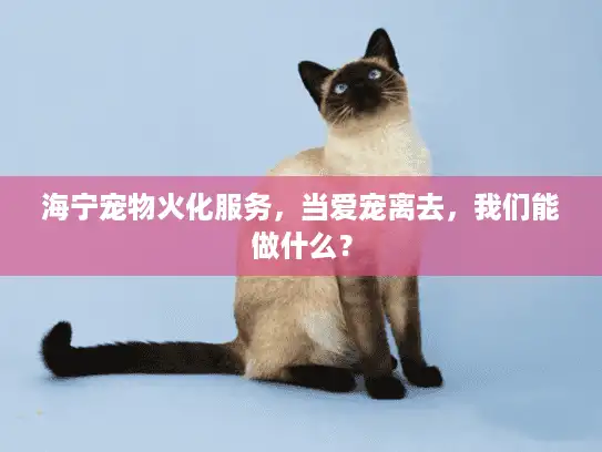 海宁宠物火化服务，当爱宠离去，我们能做什么？