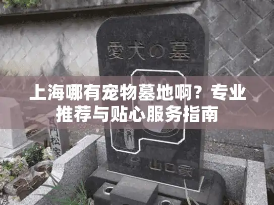 上海哪有宠物墓地啊？专业推荐与贴心服务指南