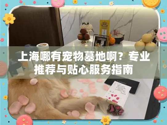 上海哪有宠物墓地啊？专业推荐与贴心服务指南