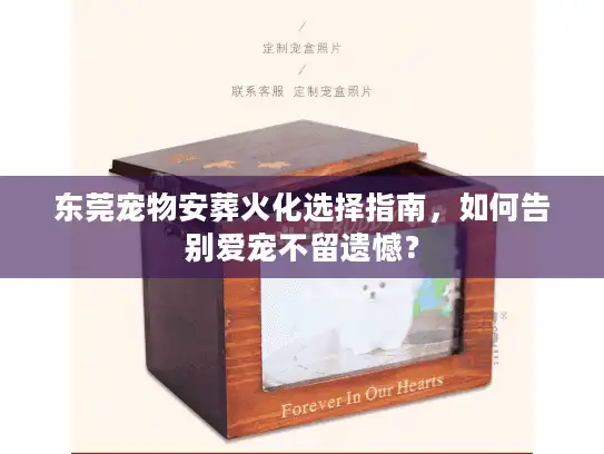 东莞宠物安葬火化选择指南，如何告别爱宠不留遗憾？