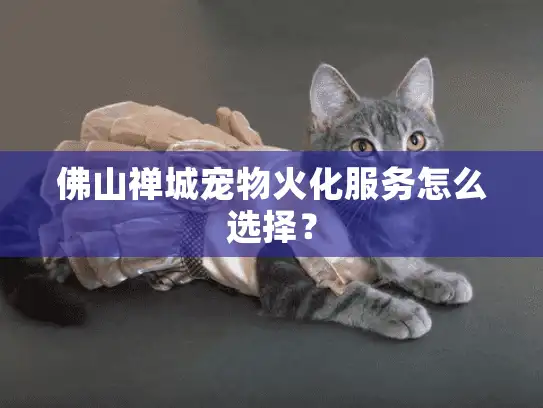 佛山禅城宠物火化服务怎么选择？