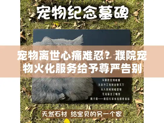 宠物离世心痛难忍？濮院宠物火化服务给予尊严告别