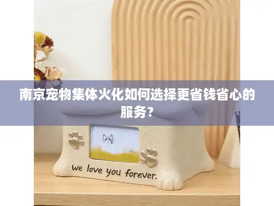 南京宠物集体火化如何选择更省钱省心的服务？