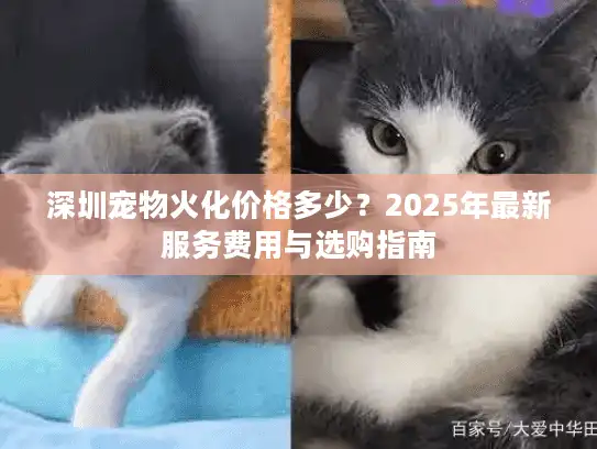 深圳宠物火化价格多少？2025年最新服务费用与选购指南