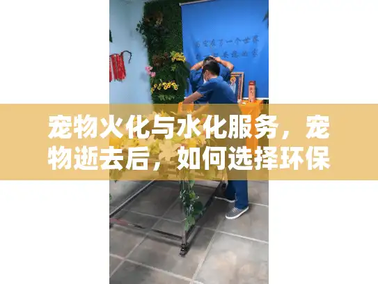 宠物火化与水化服务，宠物逝去后，如何选择环保安葬方式？