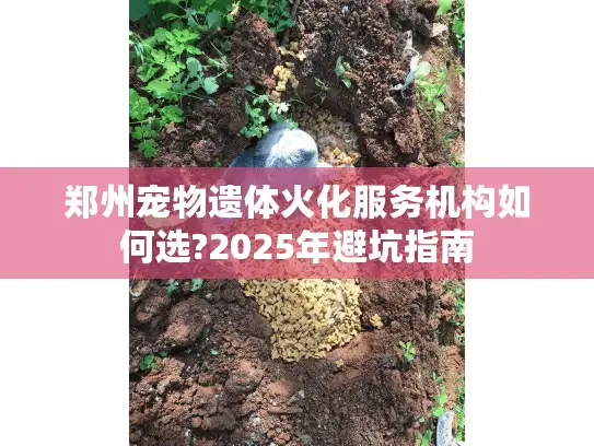 郑州宠物遗体火化服务机构如何选?2025年避坑指南