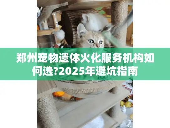郑州宠物遗体火化服务机构如何选?2025年避坑指南