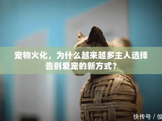 宠物火化，为什么越来越多主人选择告别爱宠的新方式？
