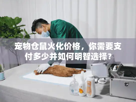 宠物仓鼠火化价格，你需要支付多少并如何明智选择？