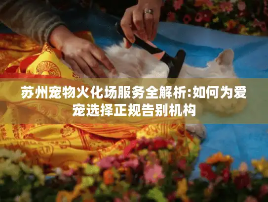 苏州宠物火化场服务全解析:如何为爱宠选择正规告别机构