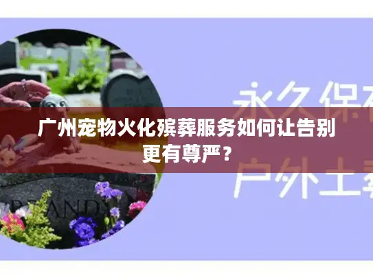 广州宠物火化殡葬服务如何让告别更有尊严？