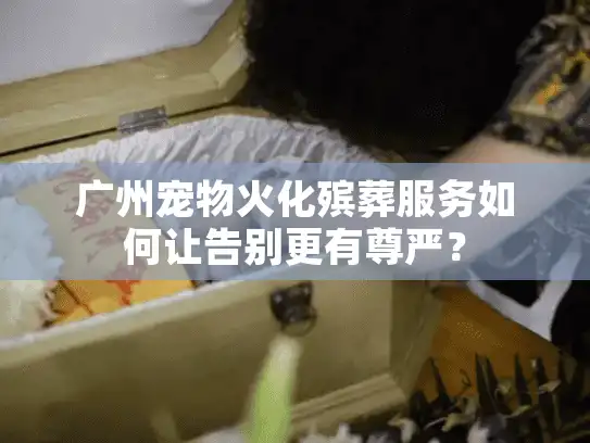 广州宠物火化殡葬服务如何让告别更有尊严？
