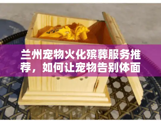 兰州宠物火化殡葬服务推荐，如何让宠物告别体面又安心？