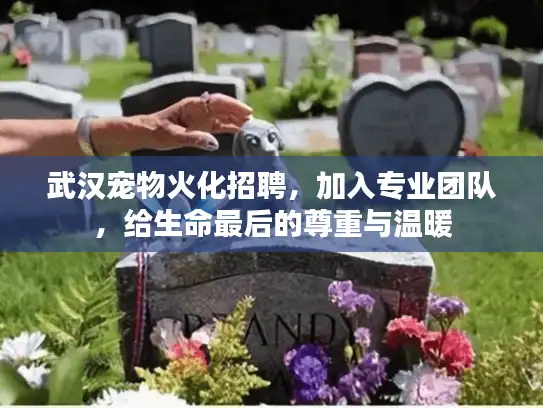 武汉宠物火化招聘，加入专业团队，给生命最后的尊重与温暖