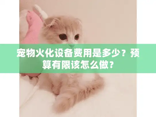 宠物火化设备费用是多少？预算有限该怎么做？