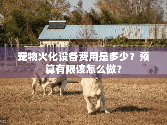 宠物火化设备费用是多少？预算有限该怎么做？