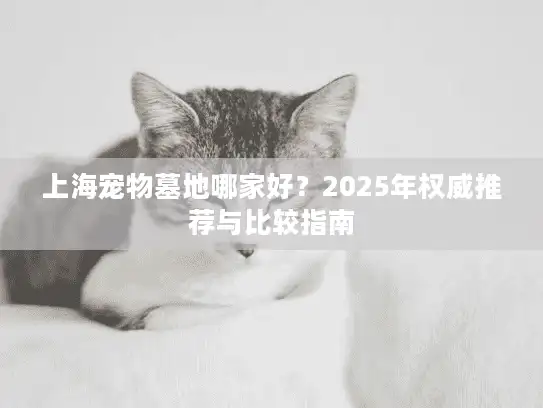 上海宠物墓地哪家好？2025年权威推荐与比较指南