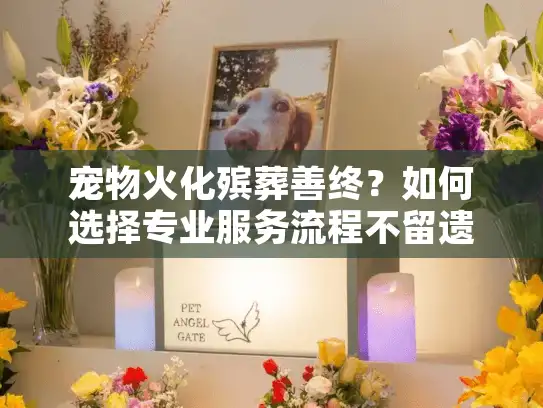 宠物火化殡葬善终？如何选择专业服务流程不留遗憾